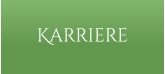 Karriere