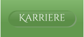 Karriere