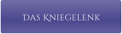 Das Kniegelenk