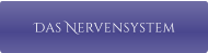 Das Nervensystem