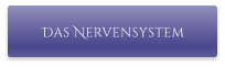 Das Nervensystem