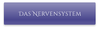 Das Nervensystem